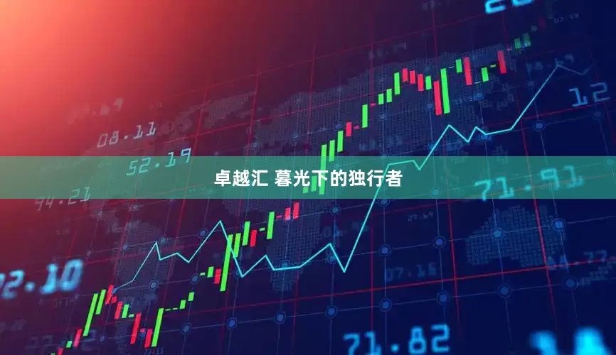 卓越汇 暮光下的独行者