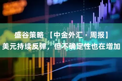 盛谷策略 【中金外汇 · 周报】美元持续反弹，但不确定性也在增加