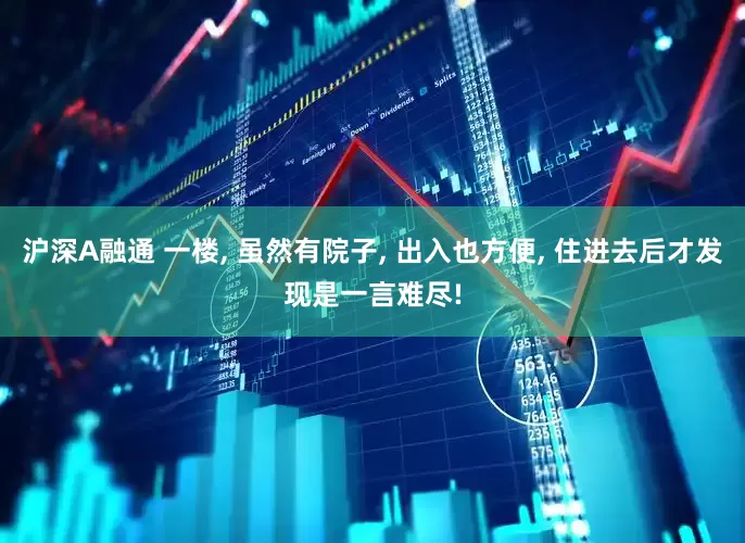沪深A融通 一楼, 虽然有院子, 出入也方便, 住进去后才发现是一言难尽!